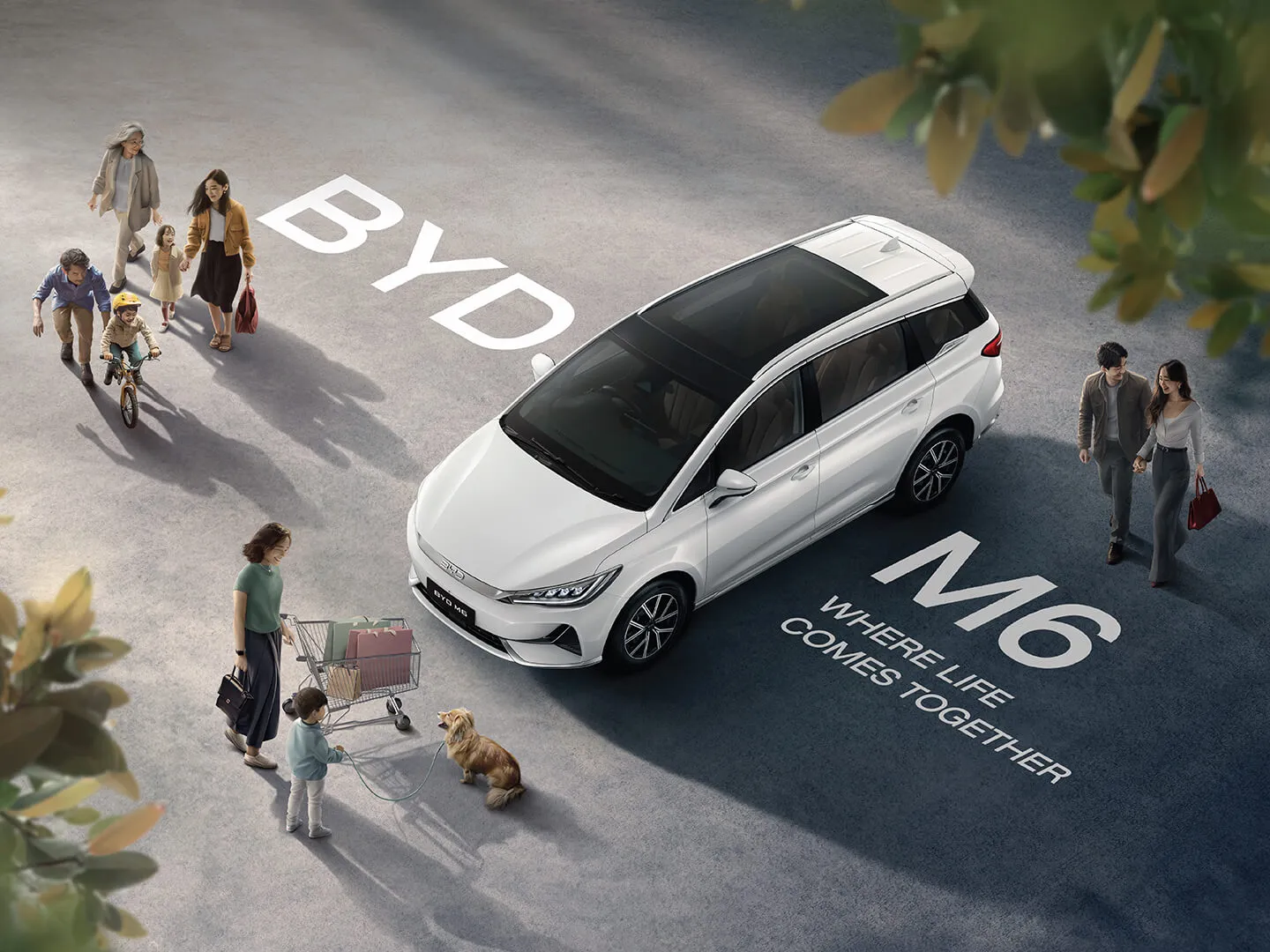 BYD M6