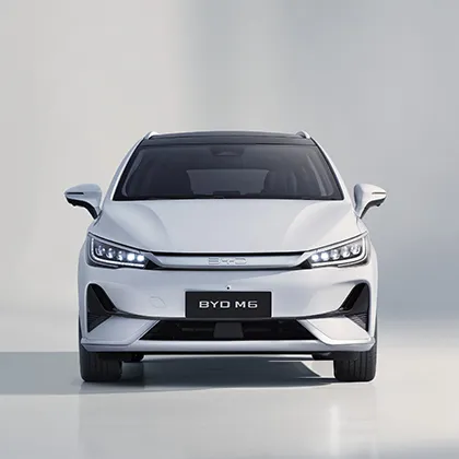 BYD M6 6